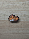 Tabby Cat