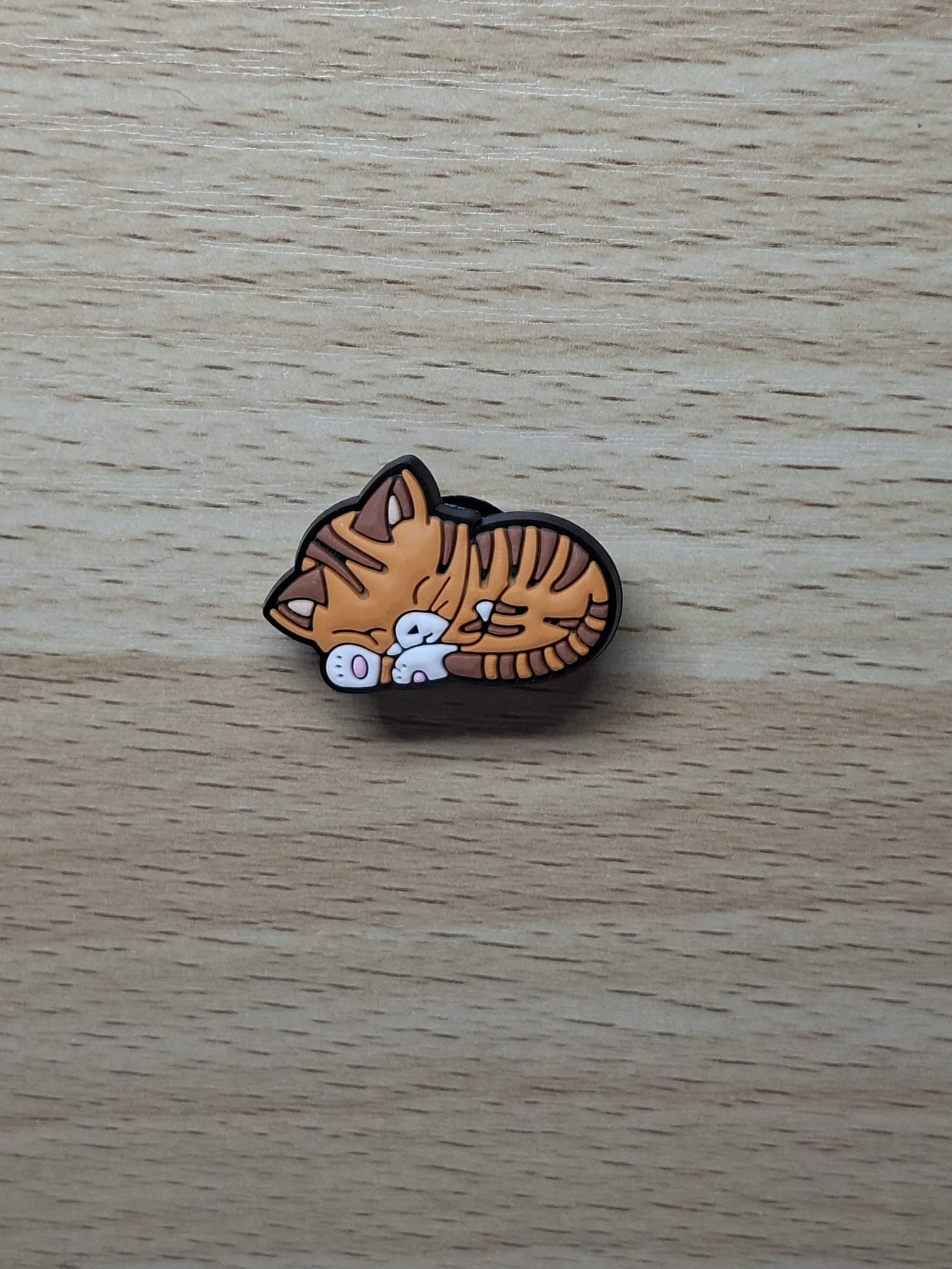 Tabby Cat
