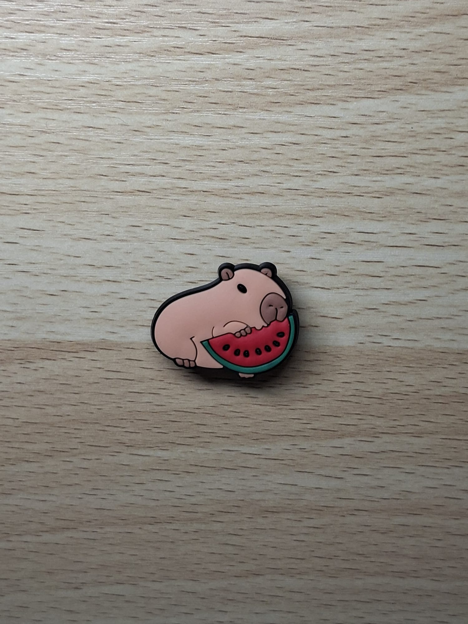 Capybara- watermelon