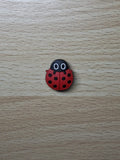 Ladybug