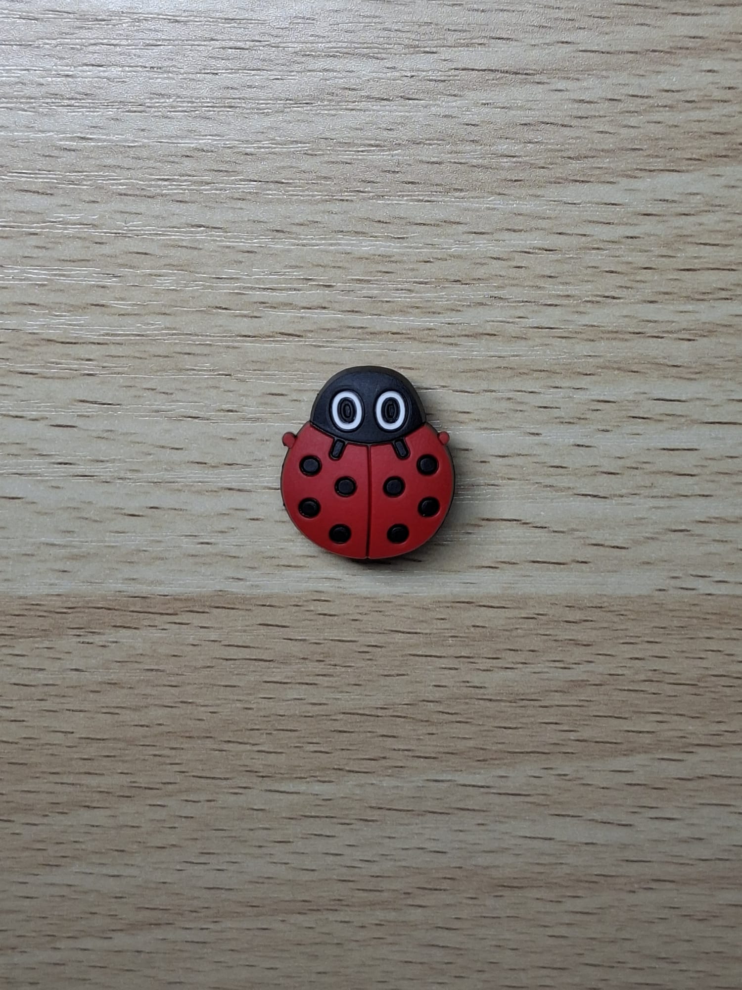 Ladybug